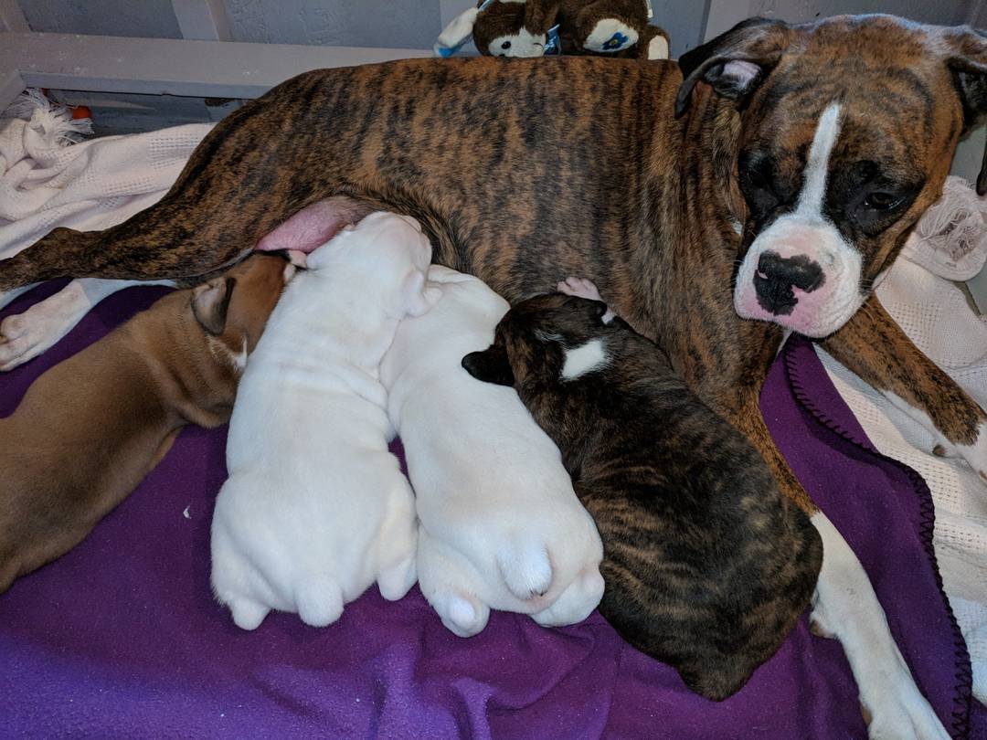 WhatsApp Image 2021-04-30 at 8.20.40 PM WhatsApp Image 2021-04-30 at 8.20.40 PM