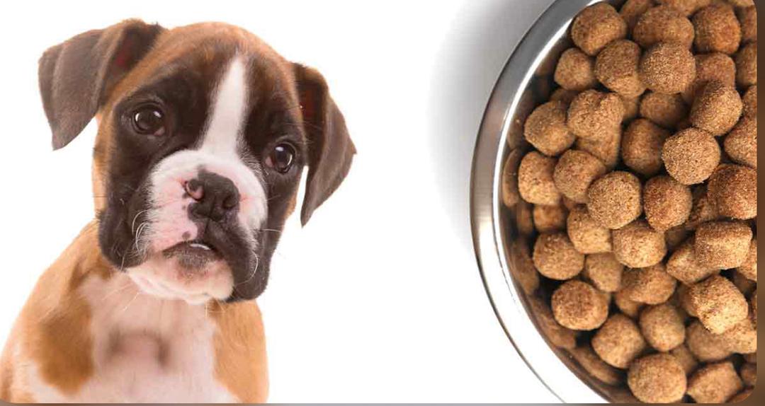 WhatsApp Image 2021-04-30 at 9.10.12 PM (1)