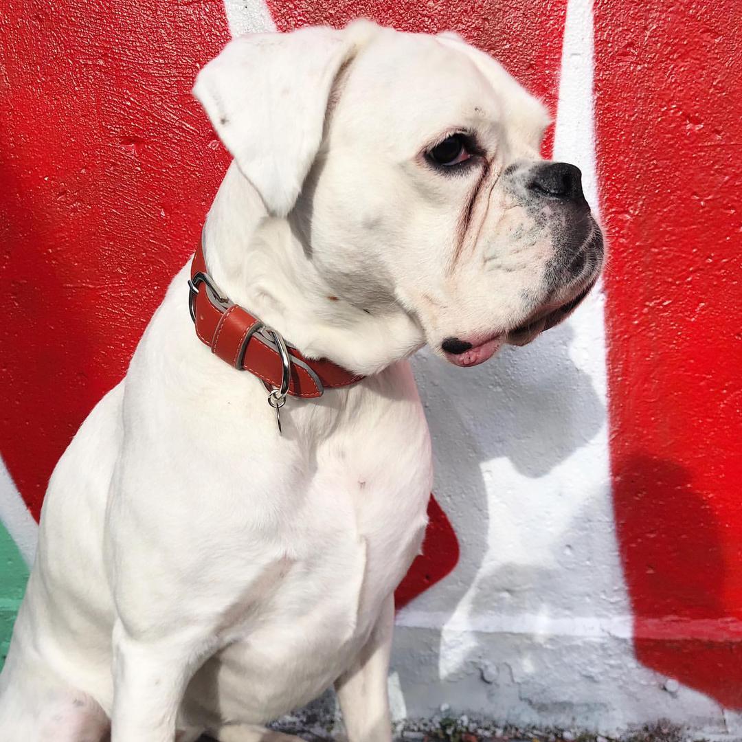 WhatsApp Image 2021-05-01 at 3.46.38 PM