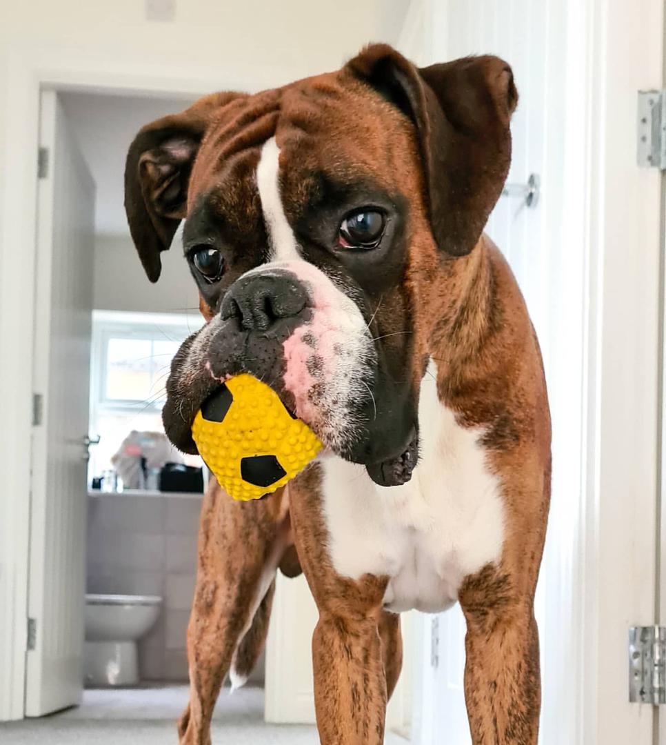 WhatsApp Image 2021-05-01 at 3.46.39 PM (1)