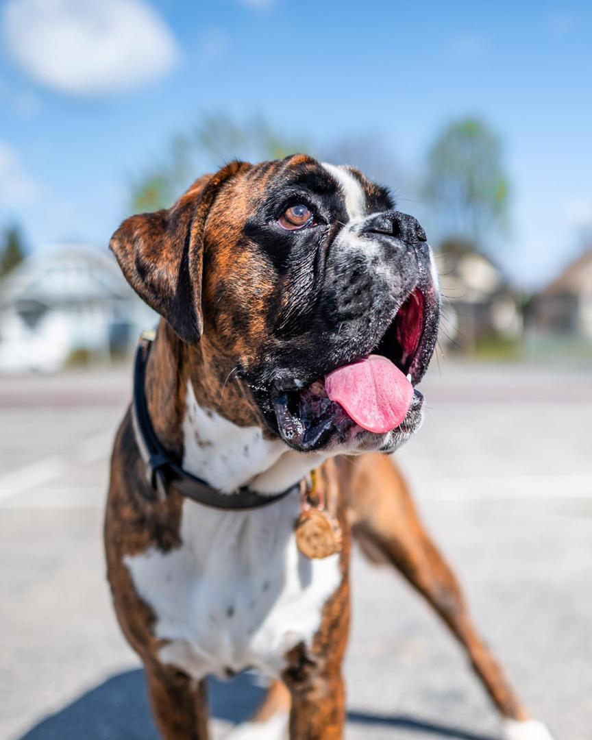 WhatsApp Image 2021-05-01 at 3.46.39 PM