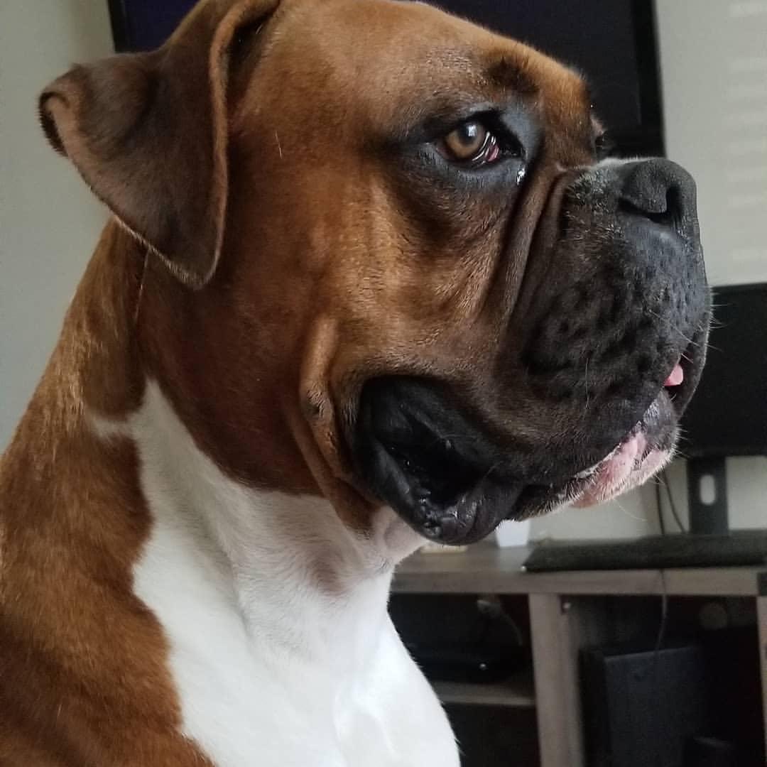 WhatsApp Image 2021-05-01 at 3.46.40 PM