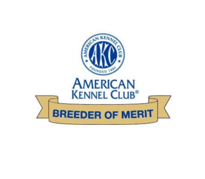 WhatsApp Image 2021-05-01 at 4.44.08 PM