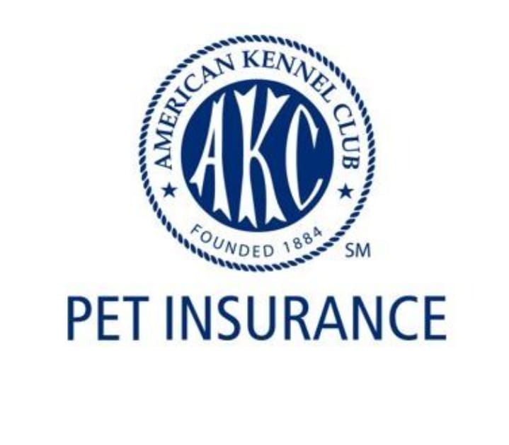 WhatsApp Image 2021-05-01 at 5.52.45 PM