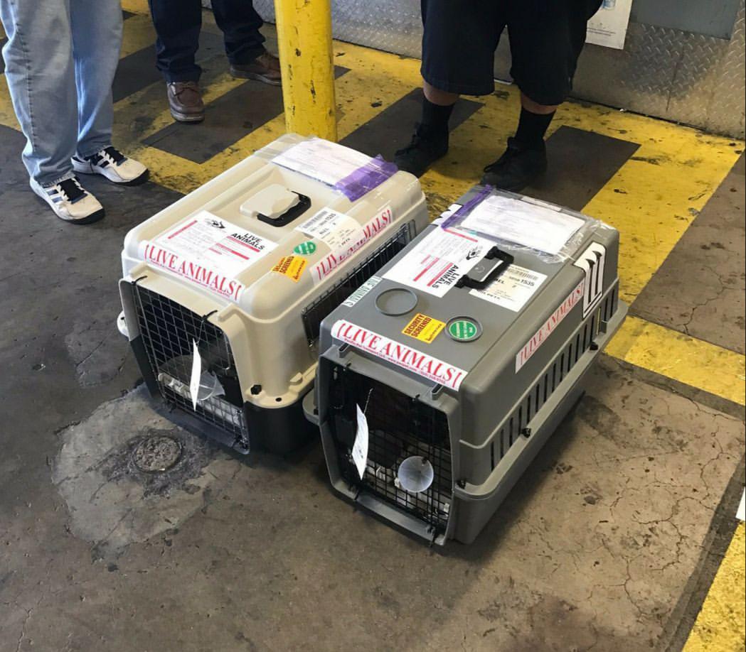 WhatsApp Image 2021-05-01 at 8.15.18 PM (1)