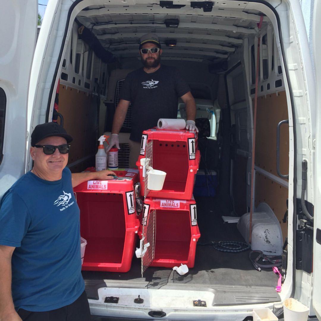 WhatsApp Image 2021-05-01 at 8.15.18 PM WhatsApp Image 2021-05-01 at 8.15.18 PM