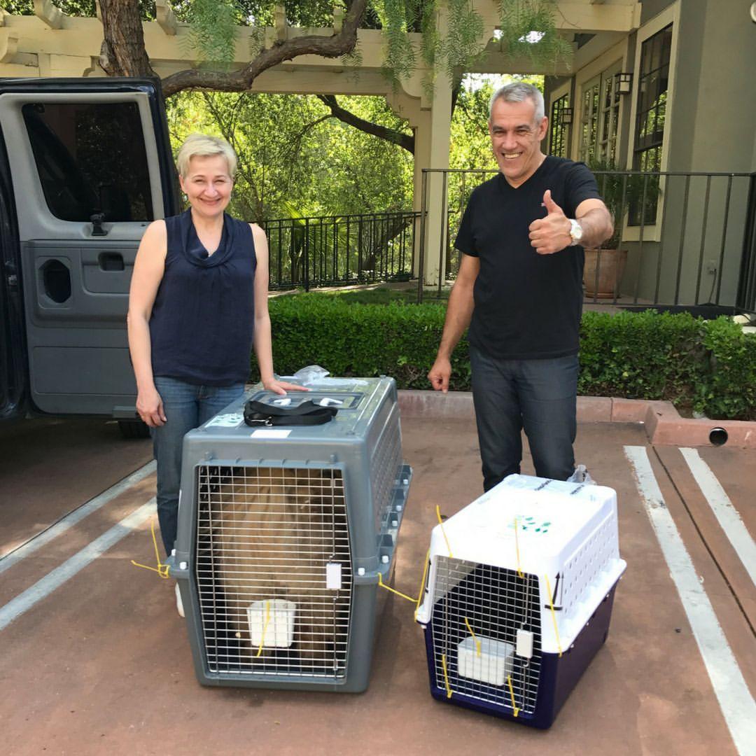 WhatsApp Image 2021-05-01 at 8.15.19 PM