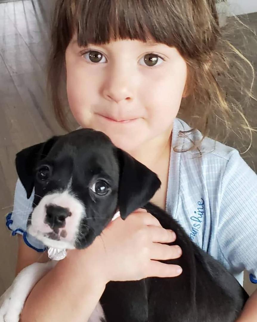 WhatsApp Image 2021-05-01 at 8.24.34 PM WhatsApp Image 2021-05-01 at 8.24.34 PM