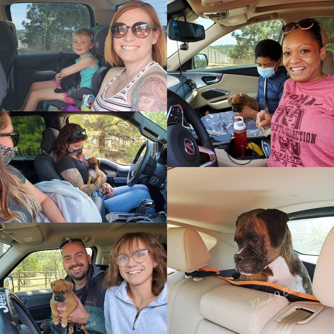 WhatsApp Image 2021-05-01 at 8.24.35 PM WhatsApp Image 2021-05-01 at 8.24.35 PM