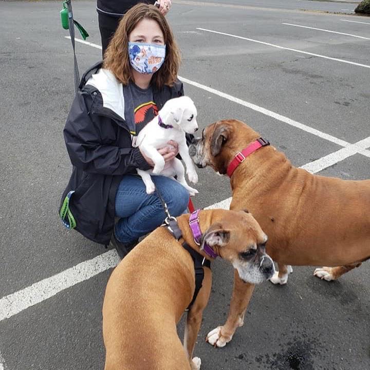 WhatsApp Image 2021-05-01 at 8.24.36 PM