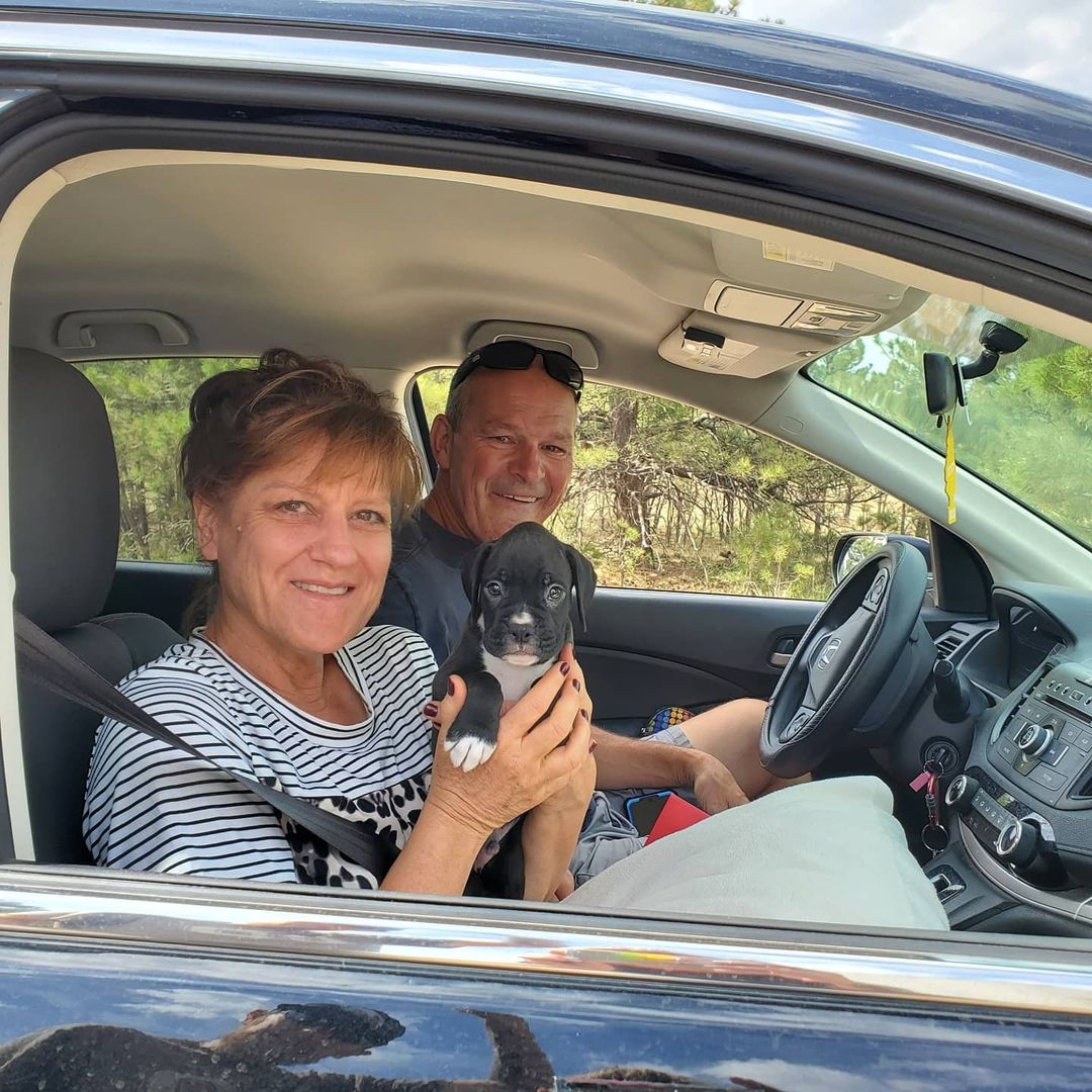 WhatsApp Image 2021-05-02 at 2.50.34 AM (1)