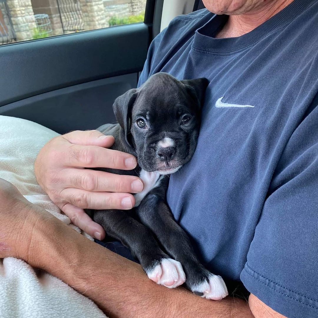 WhatsApp Image 2021-05-02 at 2.50.34 AM (2)