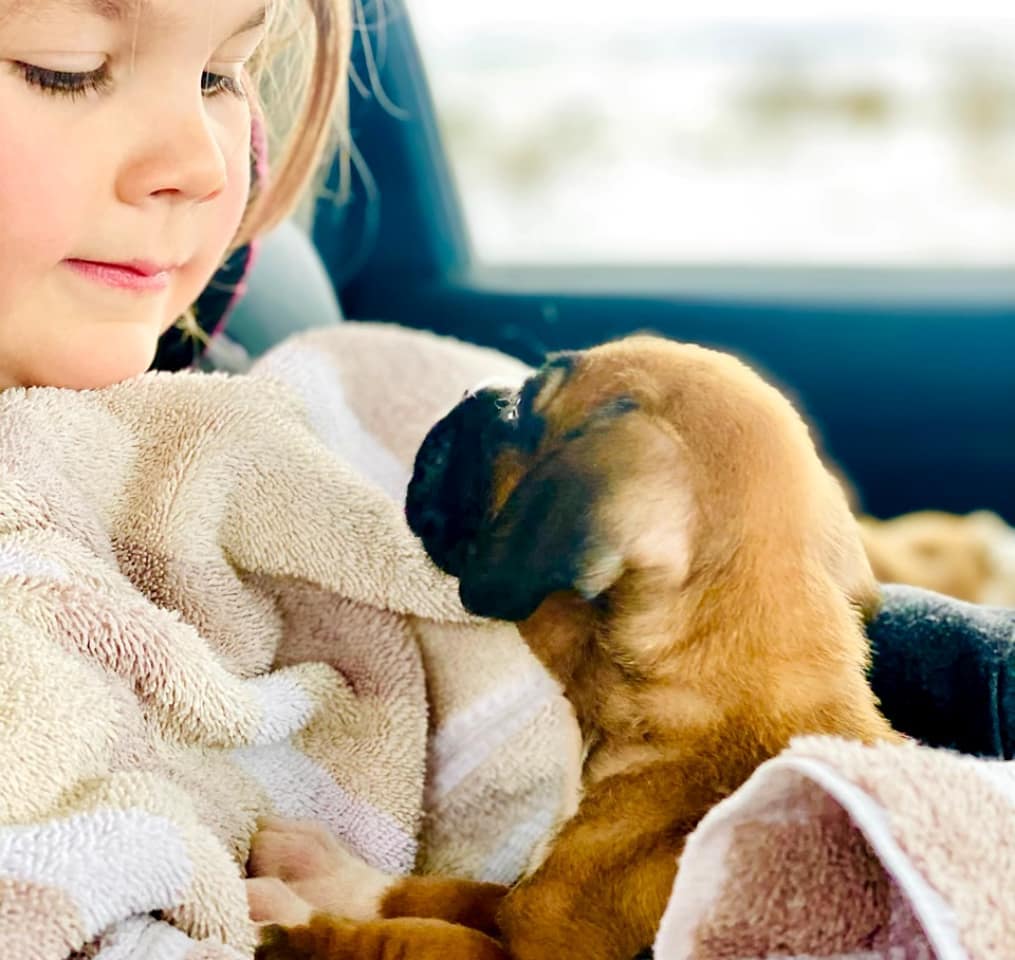 WhatsApp Image 2021-05-02 at 2.50.39 AM