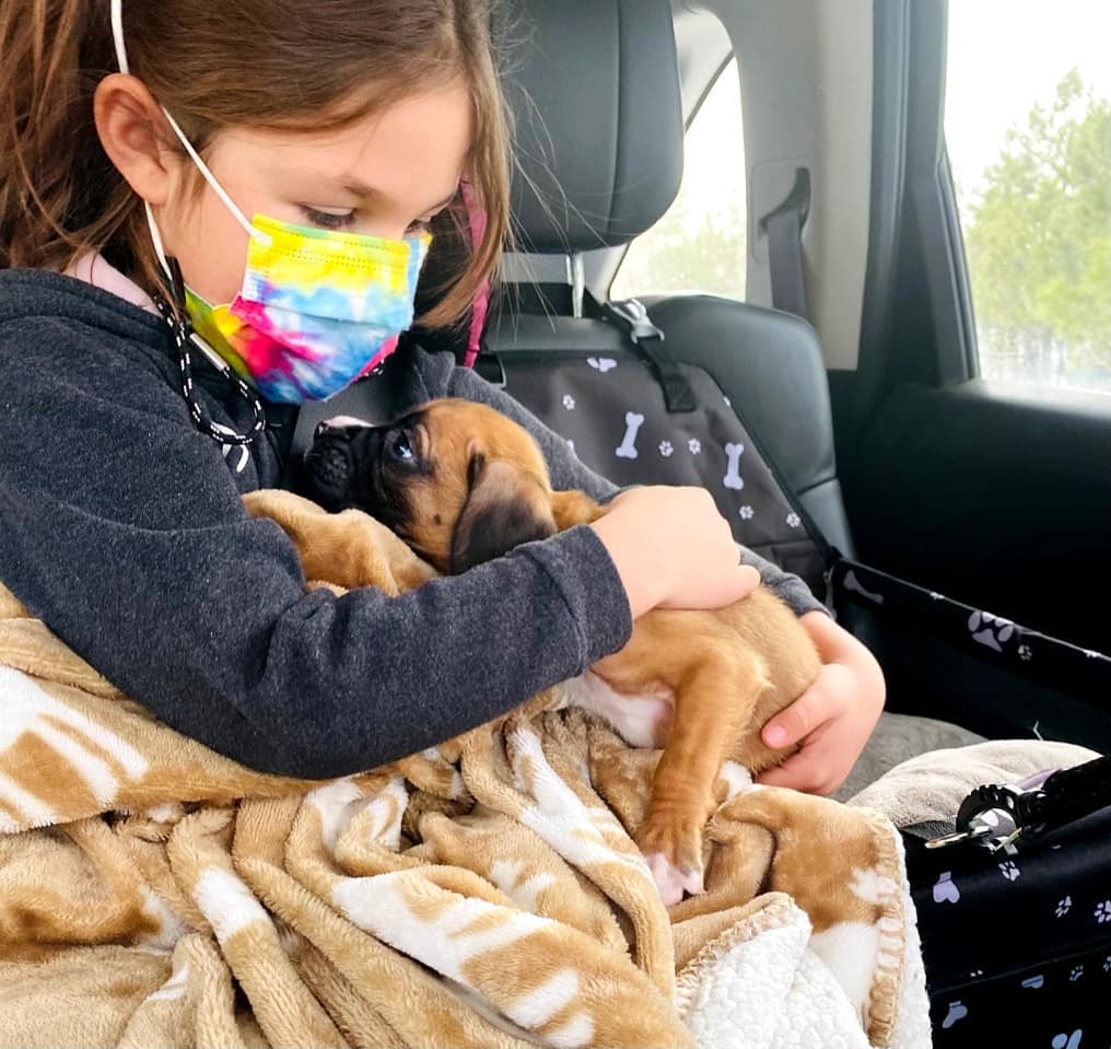 WhatsApp Image 2021-05-02 at 2.50.41 AM