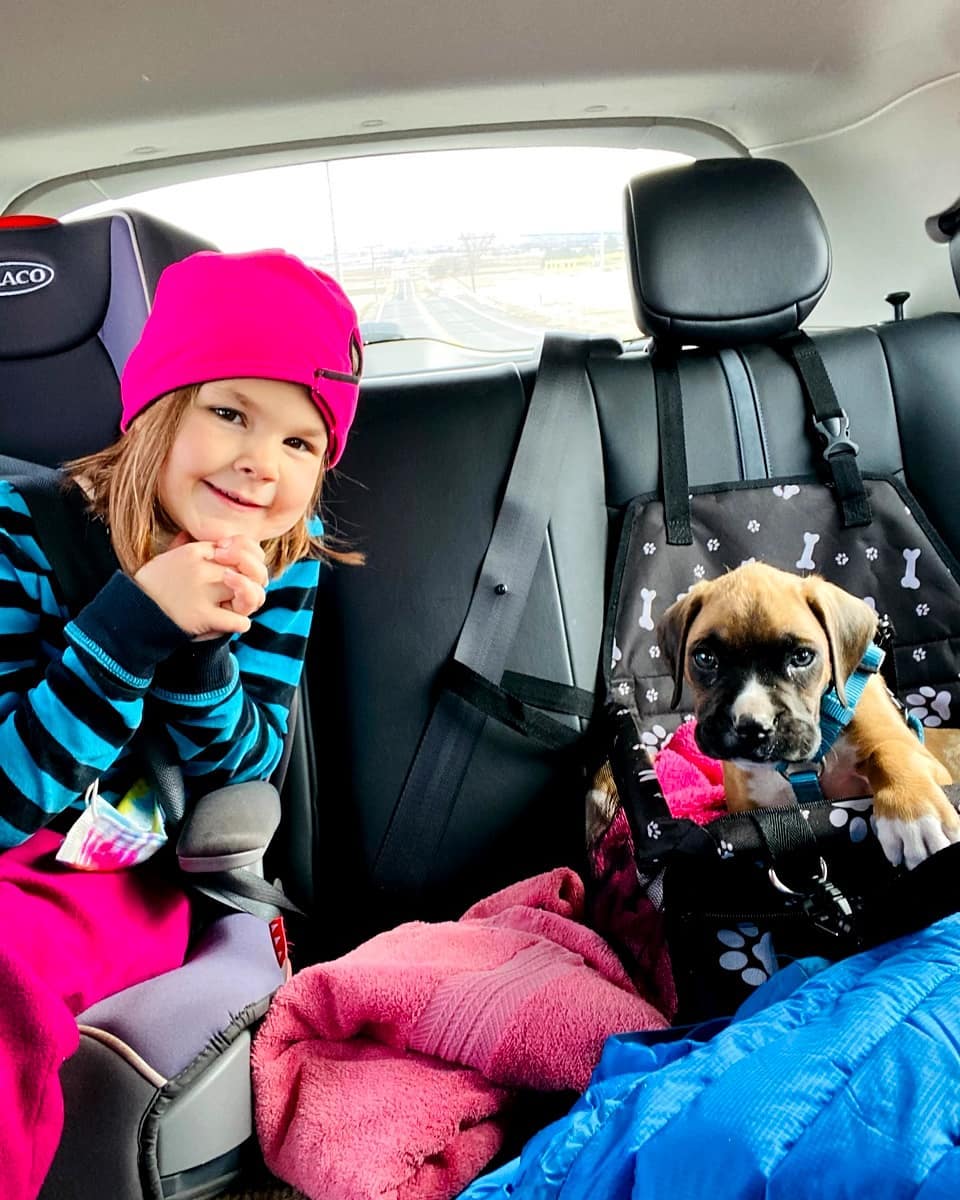 WhatsApp Image 2021-05-02 at 2.50.44 AM