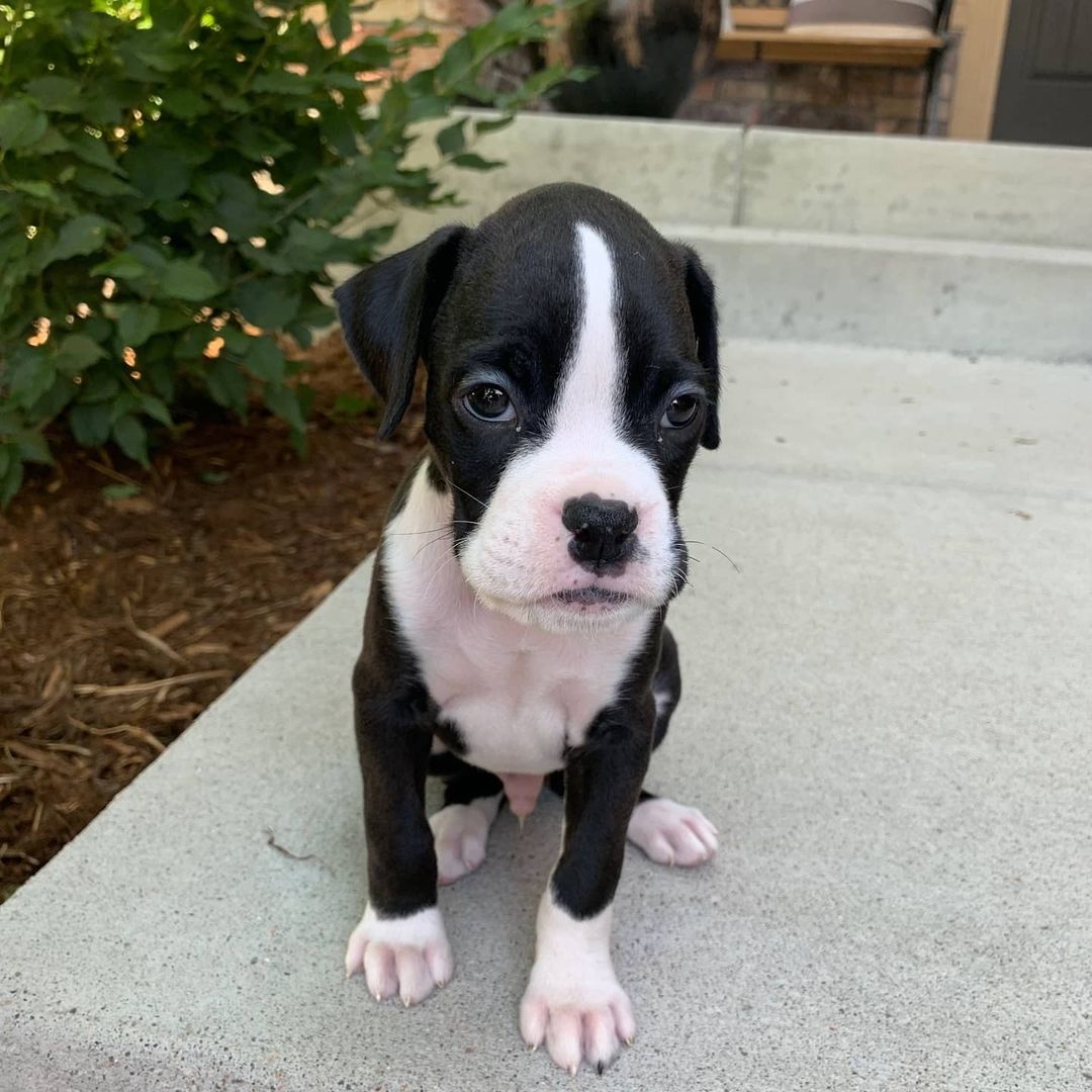 WhatsApp Image 2021-05-02 at 8.46.11 PM