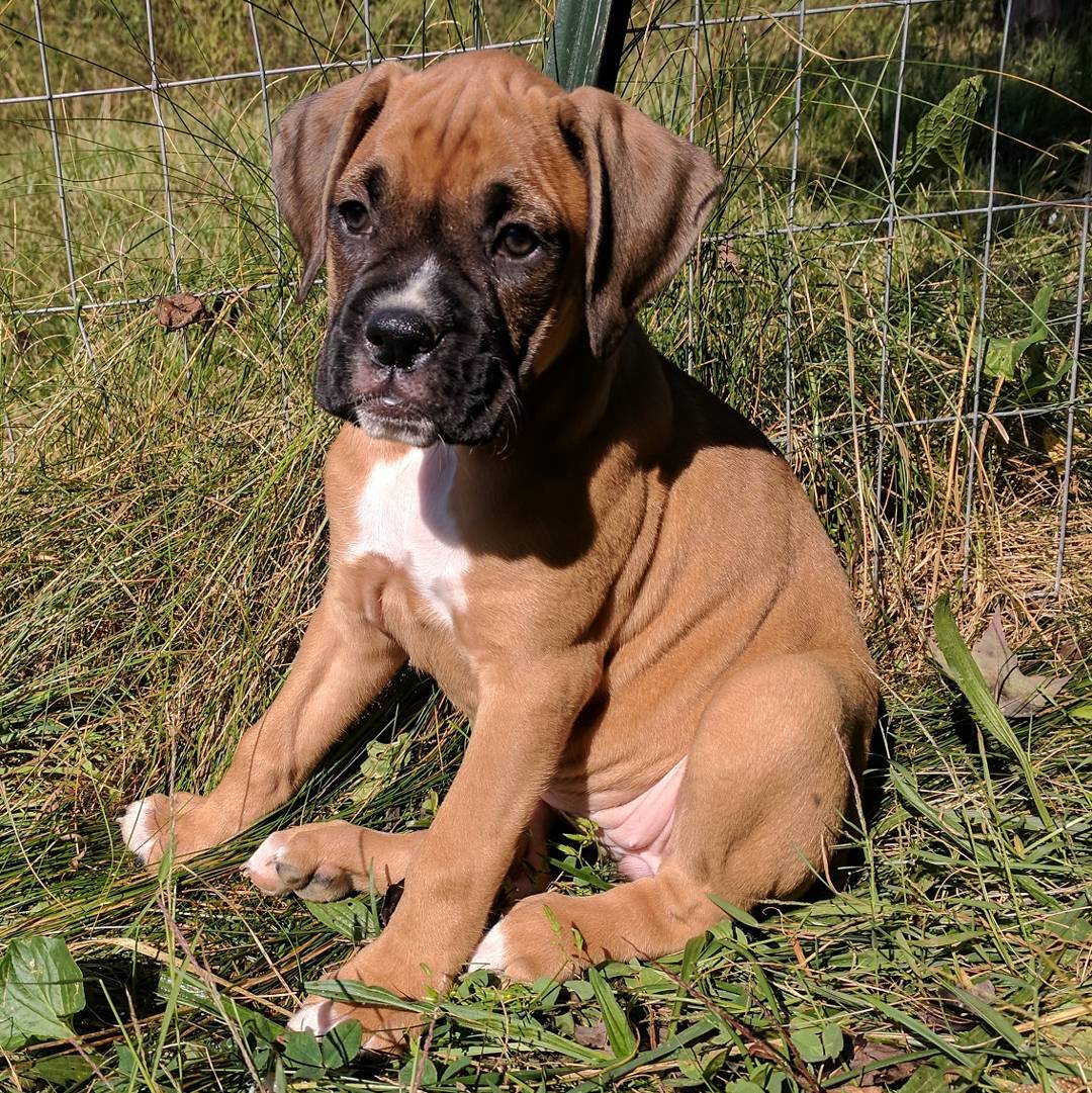 WhatsApp Image 2021-05-02 at 8.46.13 PM