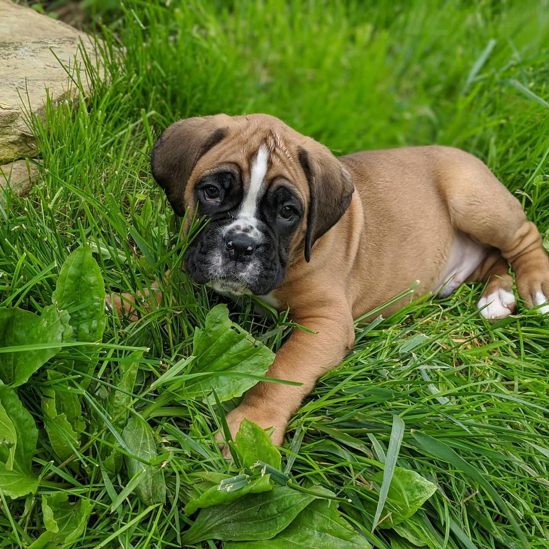 WhatsApp Image 2021-05-02 at 8.46.14 PM (1)