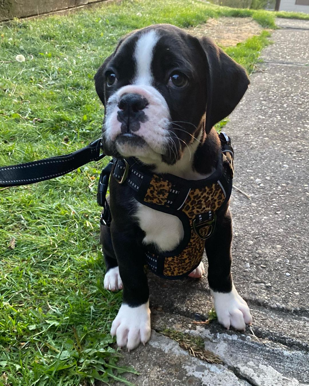 WhatsApp Image 2021-05-02 at 8.46.15 PM