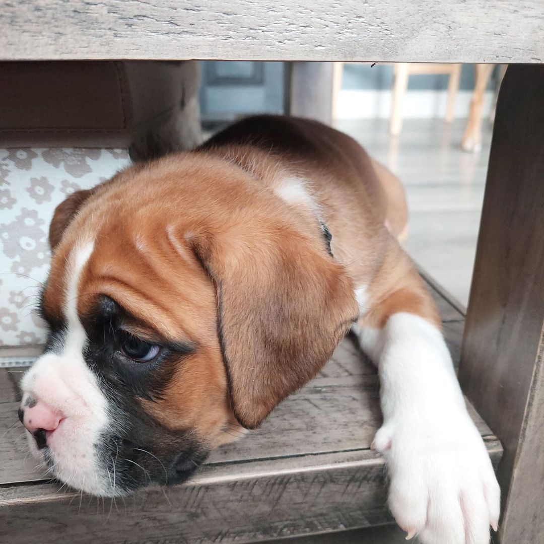 WhatsApp Image 2021-05-02 at 8.46.16 PM (1)