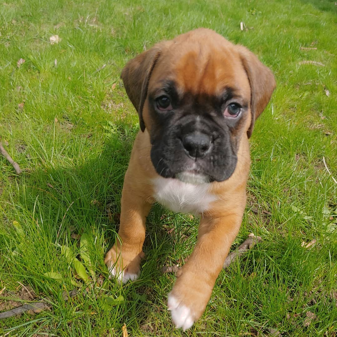 WhatsApp Image 2021-05-02 at 8.46.16 PM