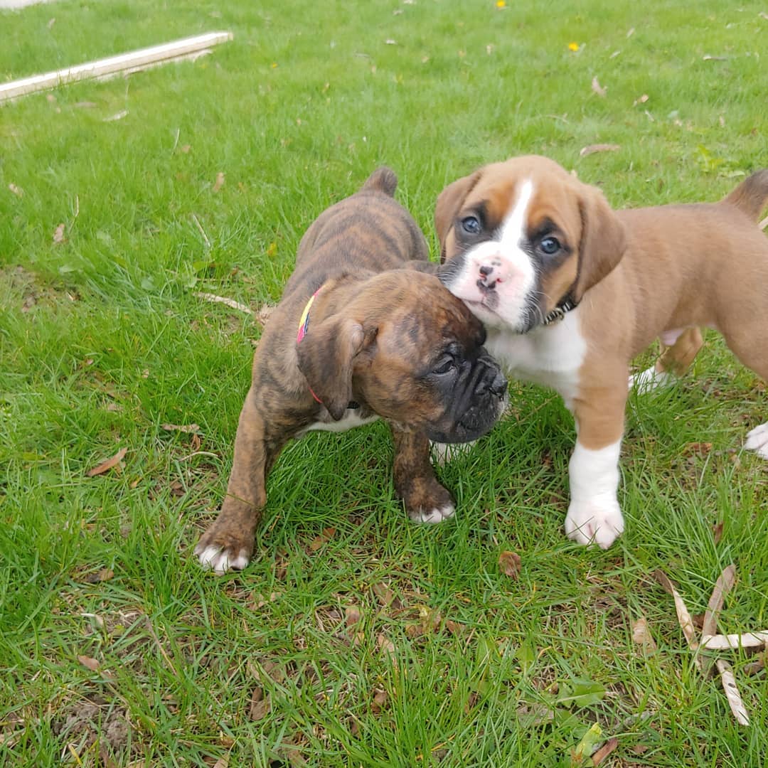 WhatsApp Image 2021-05-02 at 8.46.17 PM (1)