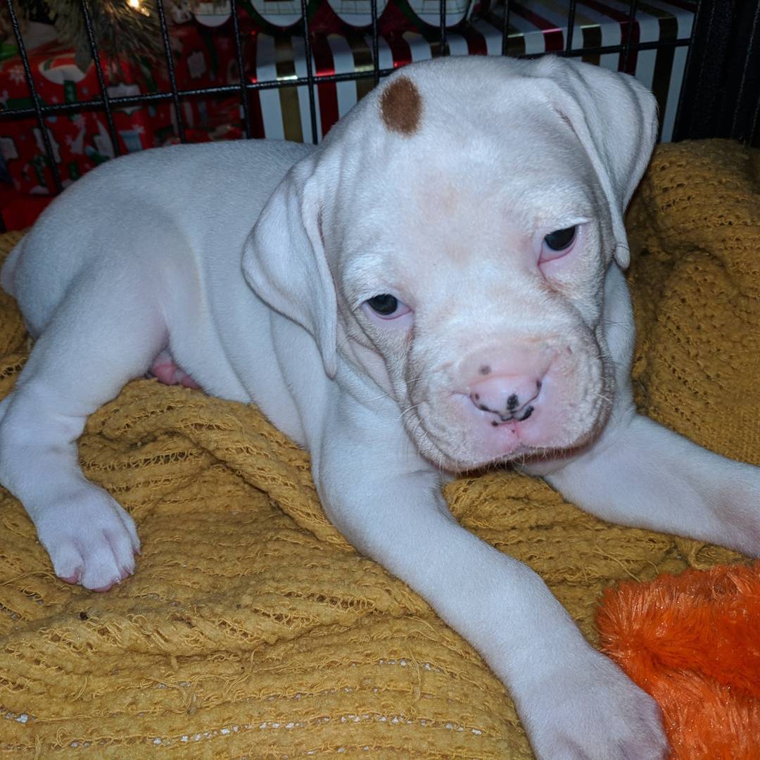 WhatsApp Image 2021-05-02 at 8.46.17 PM (2)